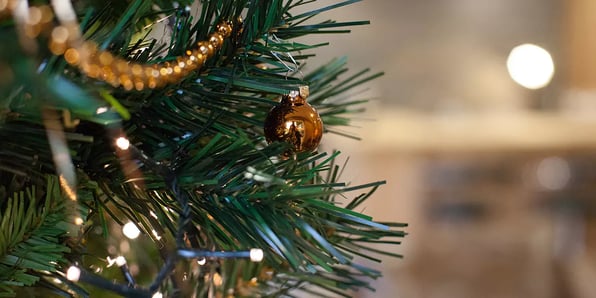 Xmas tree in foreground with garden bar out of focus in background