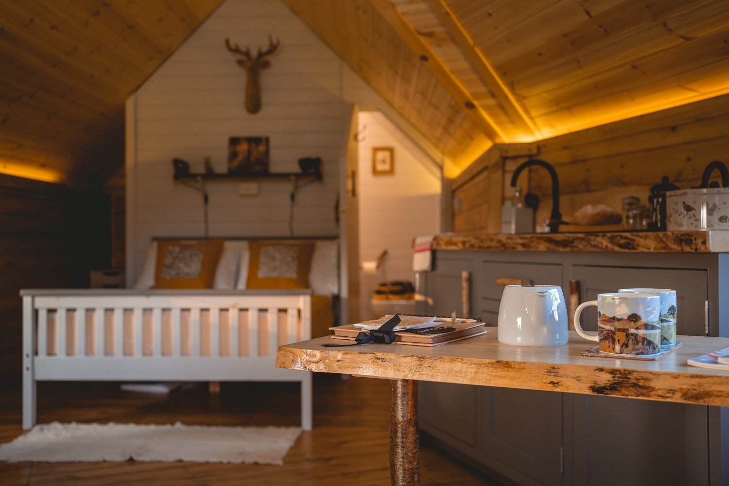 Interior of a log cabin with bedroom, kitchen and bathroom