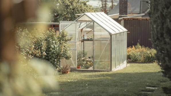 gardening tips for the whole year every season