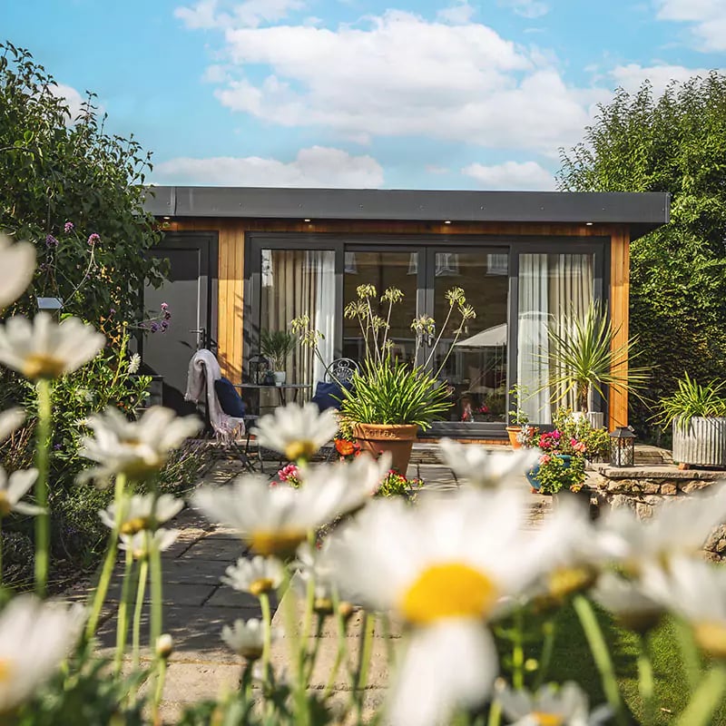 Cedar clad garden shoffice in sunny garden