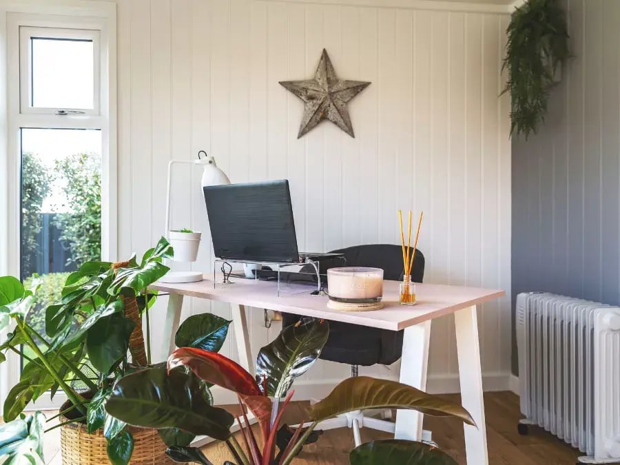 garden office with pink desk