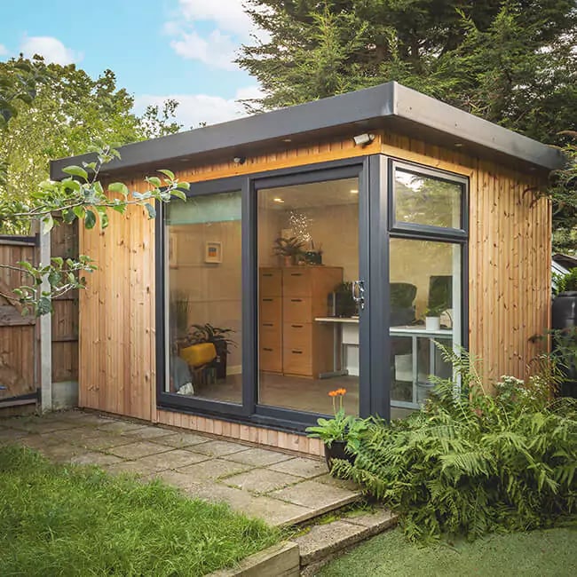 Small redwood garden office with fern plant next to it