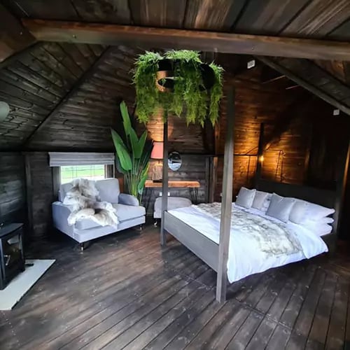 Interior of a luxury timber glamping cabin with bed and green hanging plants
