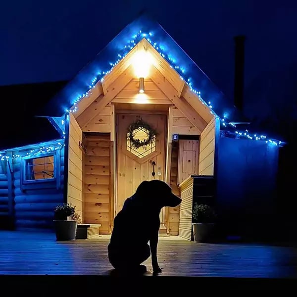 Inside Arctic Cabins Holiday Hive at Thorny Bush at night
