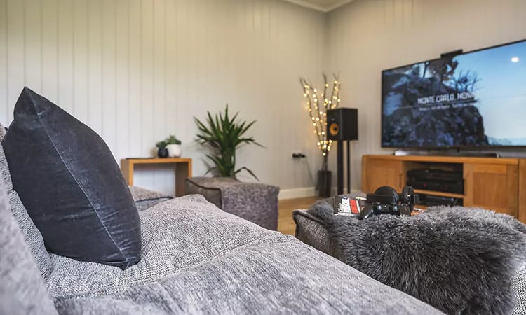 Interior of a garden bar Mancave with sofa, sound system and TV 