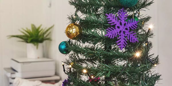 Xmas tree set up inside small garden room 