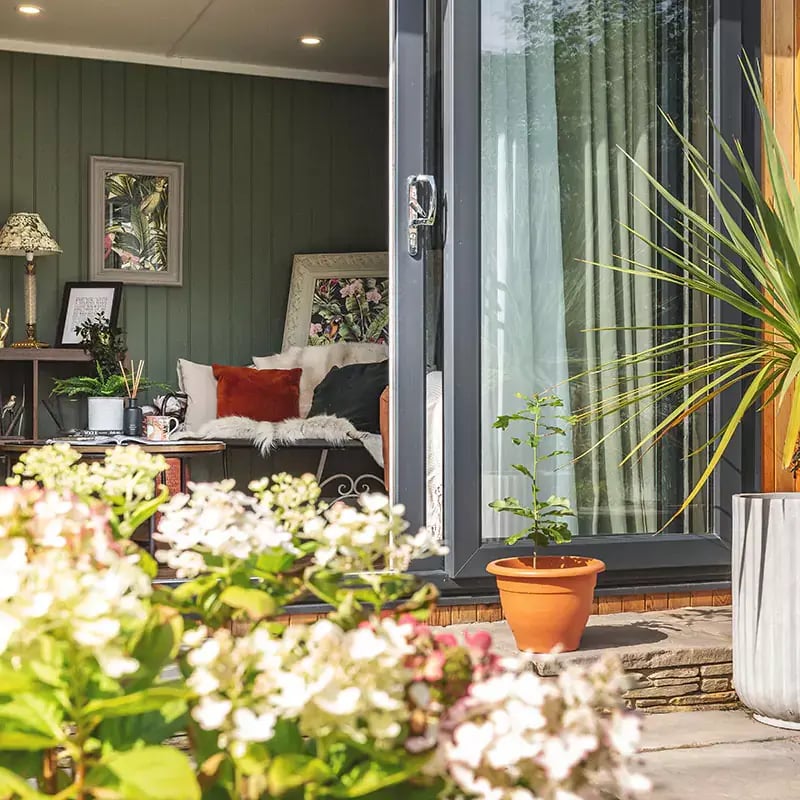 Interior of a garden studio with dark green feature wall and green velvet sofa and green tropical plant