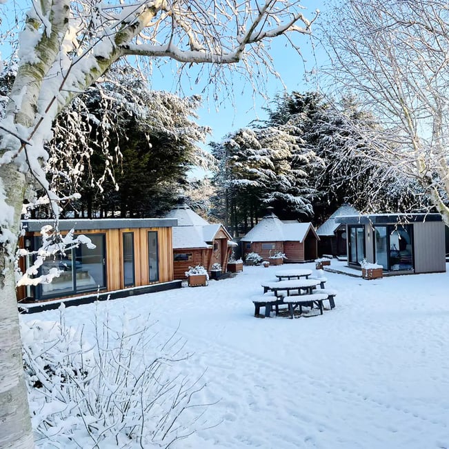 snowy show site