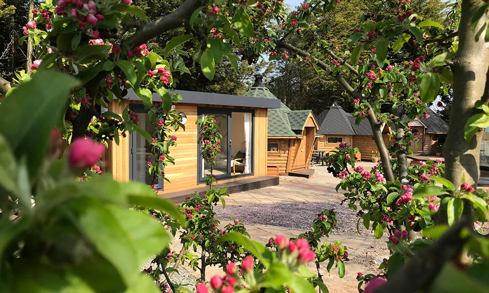 Nottingham garden room Show Site with pretty bushes framing shot
