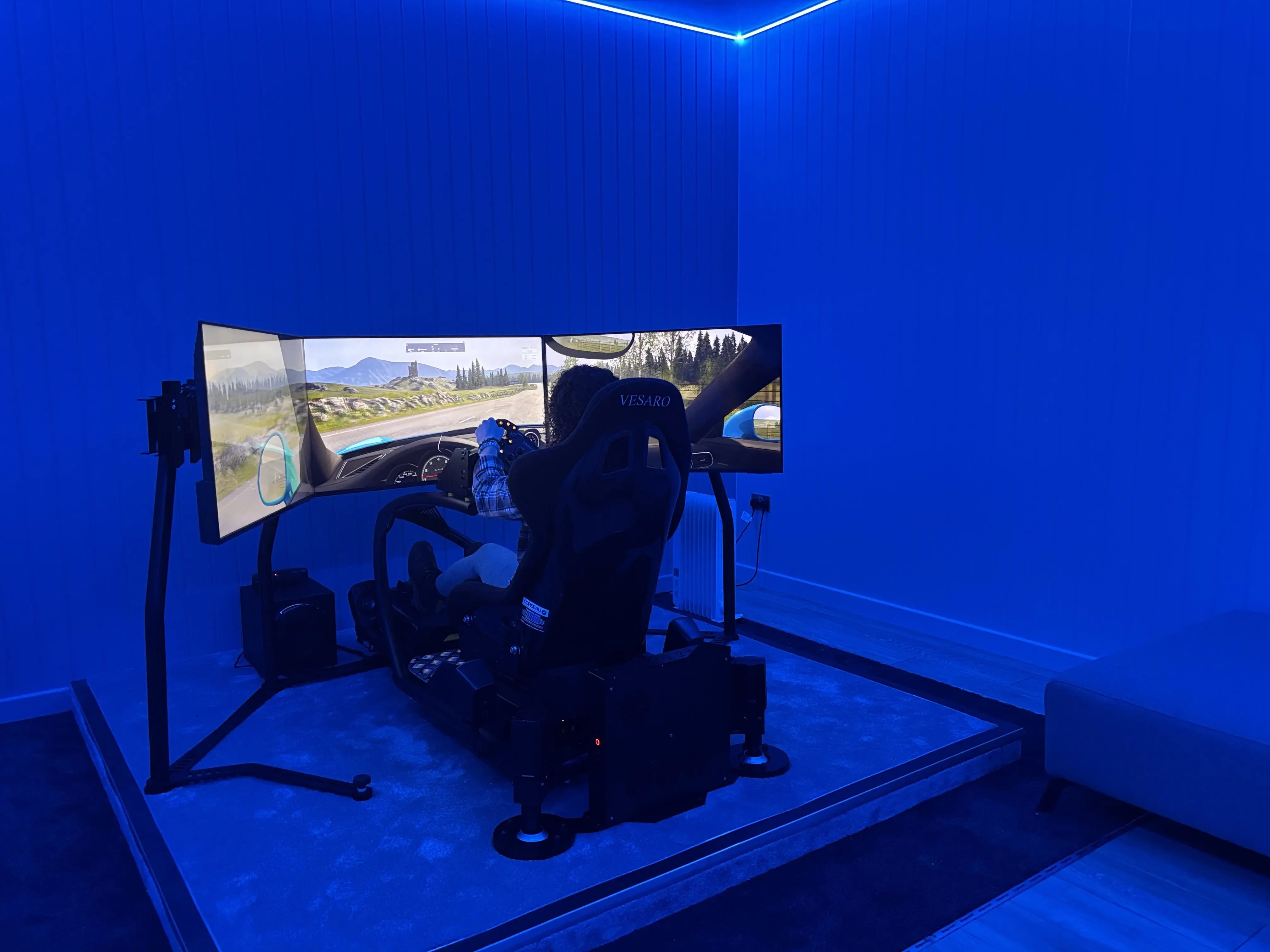 room in the garden for a racing simulator