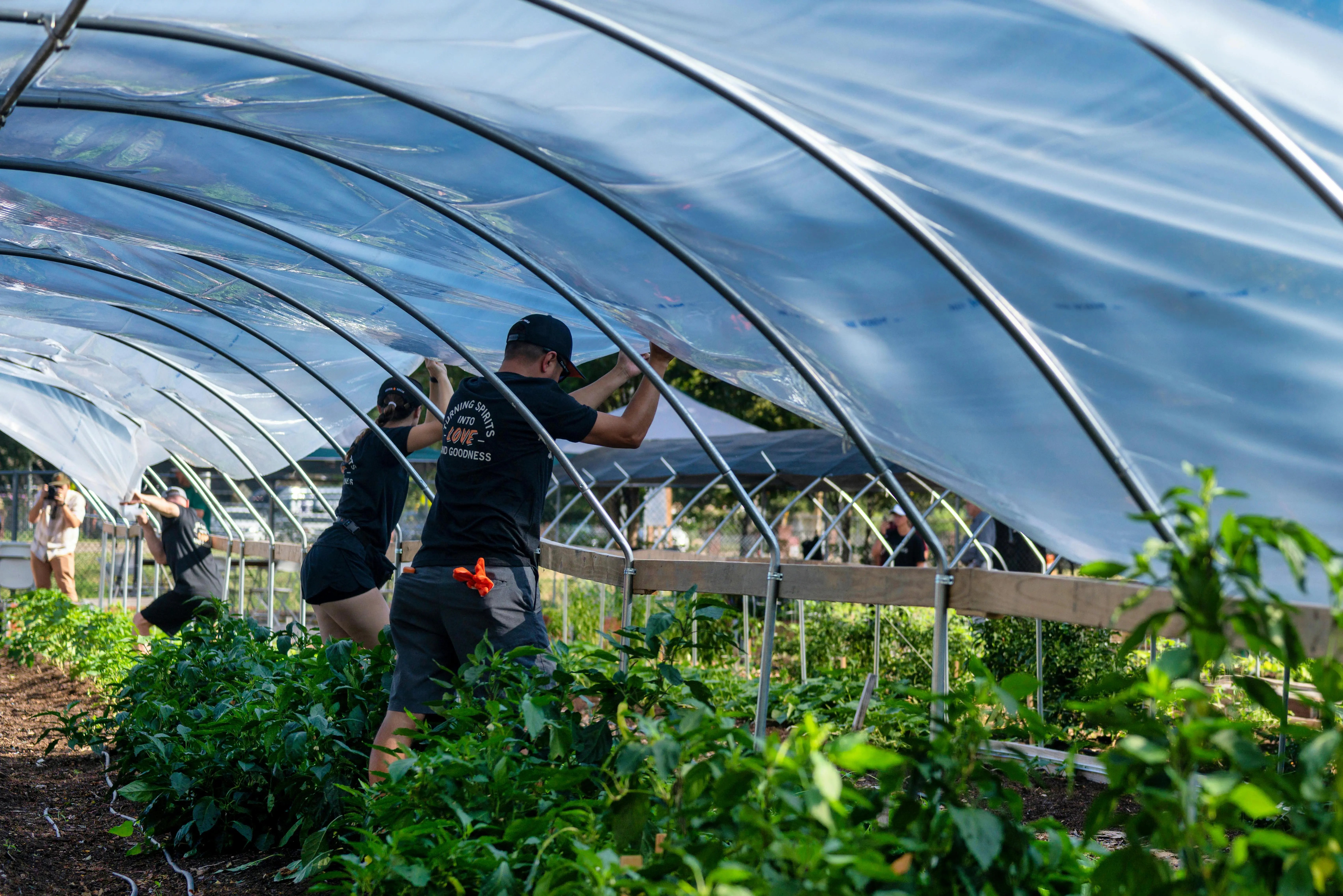 Greenhouse Shading