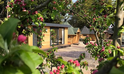 looking through a bush with pink flowers on at a luxury bespoke garden room