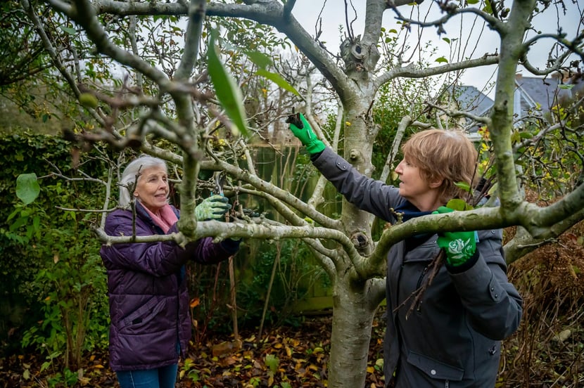 Tree Pruning 