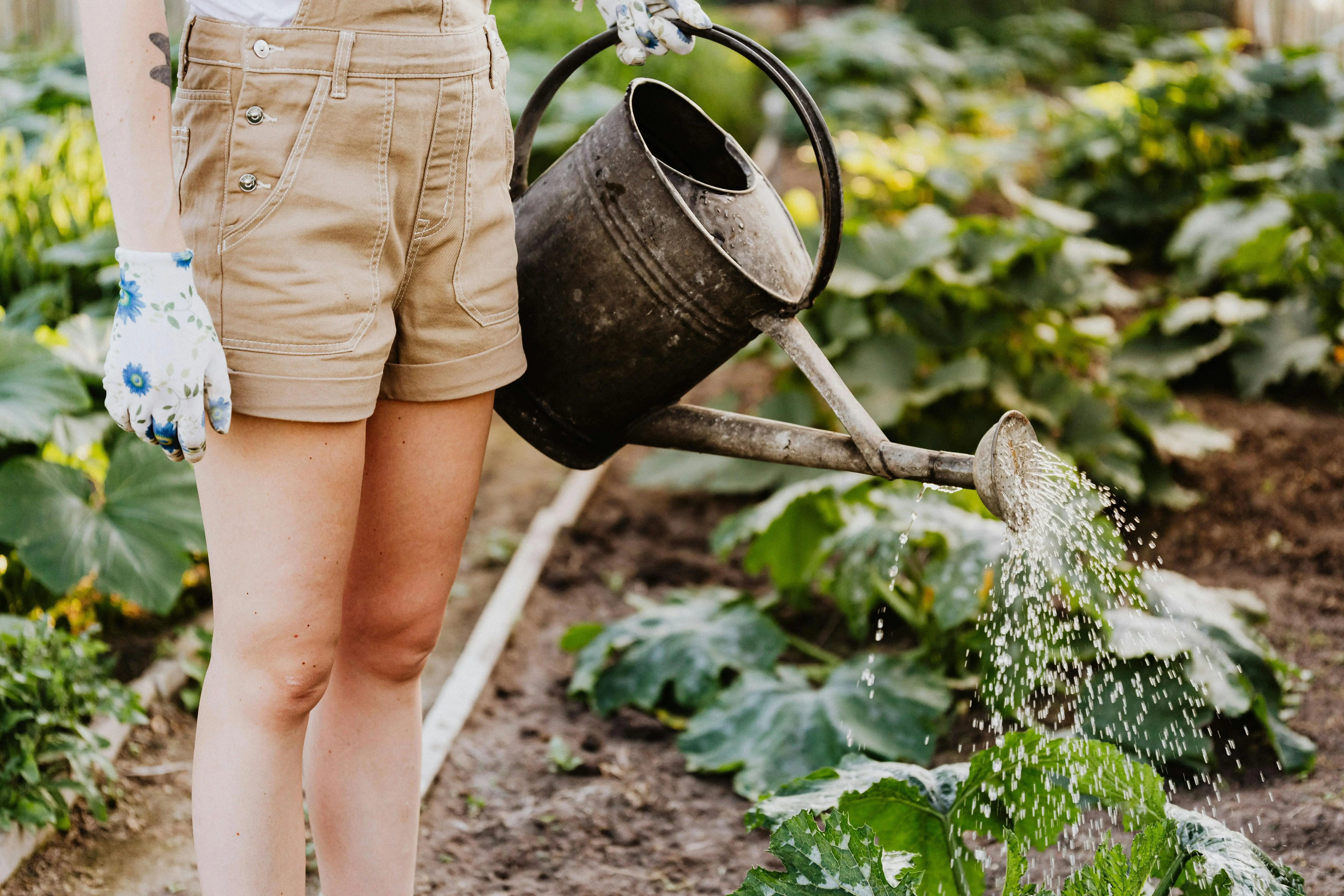 Watering Can 