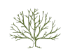 tree icon