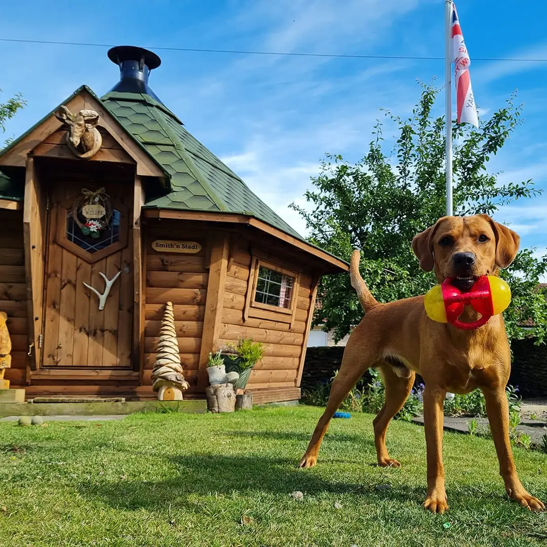 BBQ grill hut with green roof with owners dog outside