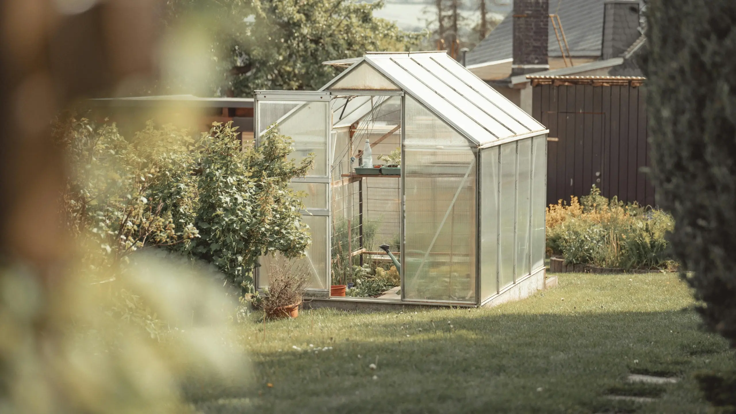 From Frost to Flower: A Weekly Guide to Thriving in Your Garden All Year
