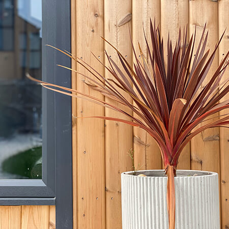 Outside of a garden gym and office close up