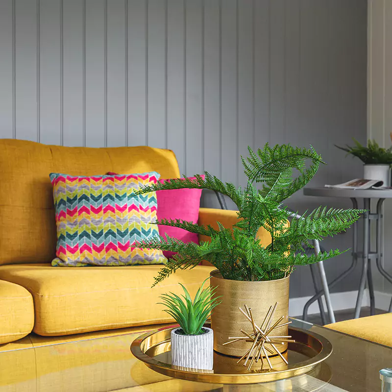 Interior of a summerhouse with yellow & bright pink decor with plants