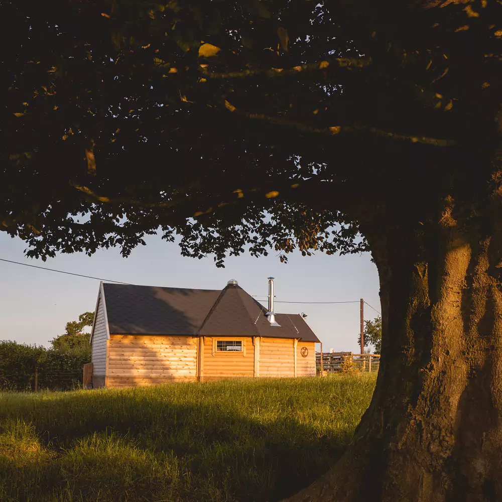 camping cabin under large tree in rural setting