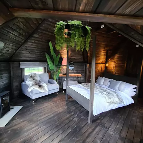 Interior of a luxury timber glamping cabin with bed and green hanging plants