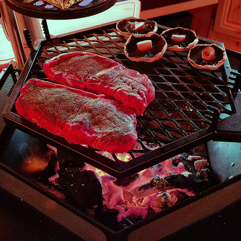 mushrooms & steak cooking on bbq inside arctic cabin