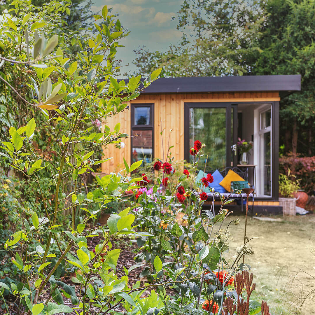 Small Garden Office Building in lawn area with rose bushes and bench with bright sofa cushions 