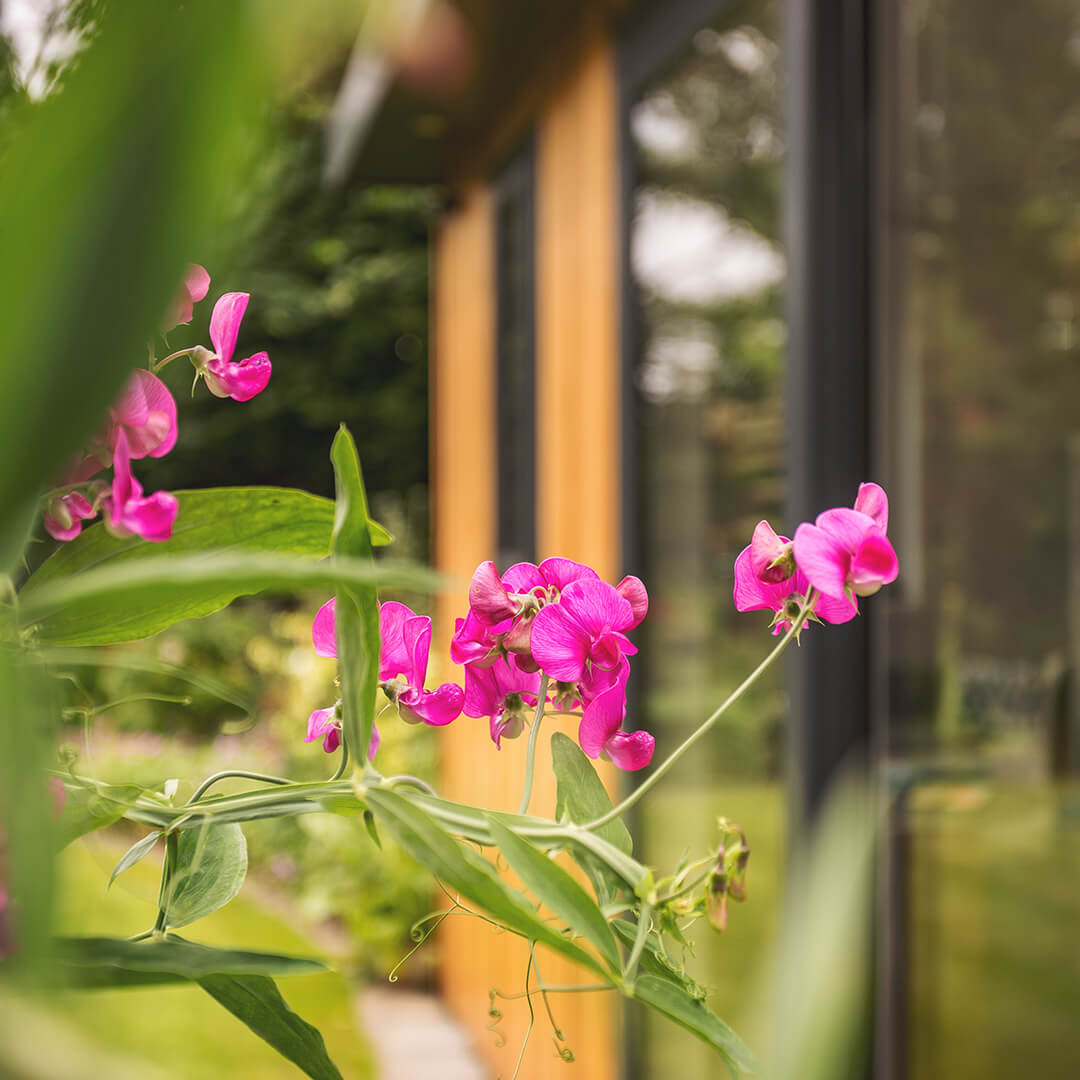 cabin master cedar artist's studio room with zoom in on pink plants