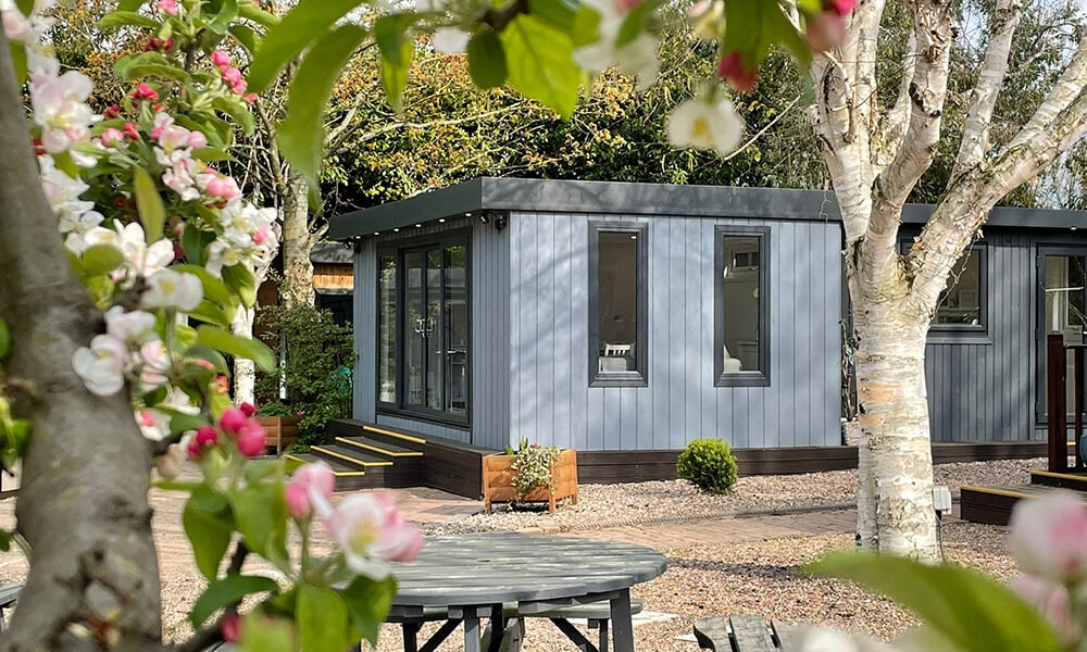 Looking through silver birch trees at a large dark grey zero maintenance garden room