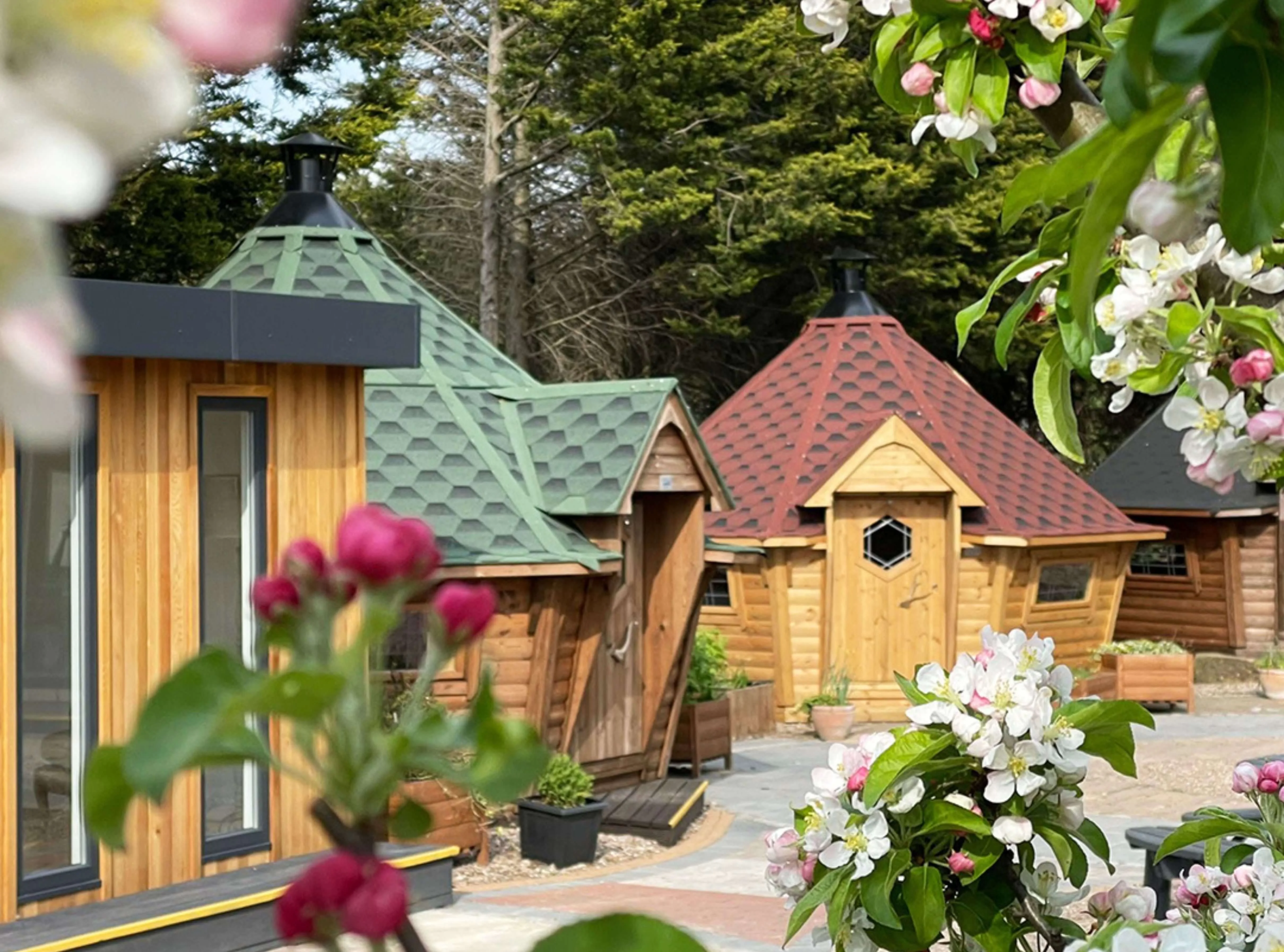 Arctic Cabins Nottingham Show Site with red and green roofs with roses and pink and white tulips