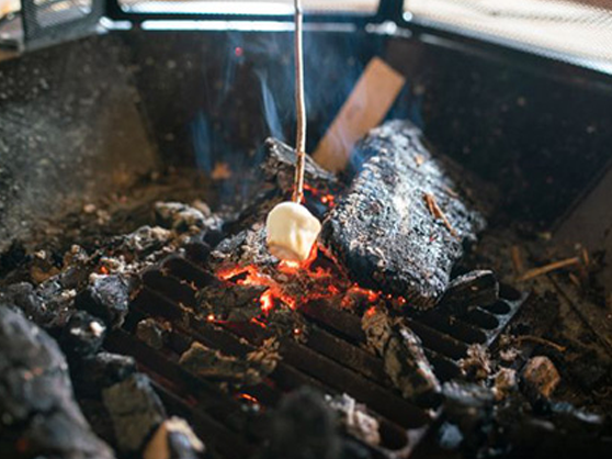 Springfield School toasting marhsmallows-for-forest-learning